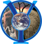 Yale Institute for Biospheric Studies logo